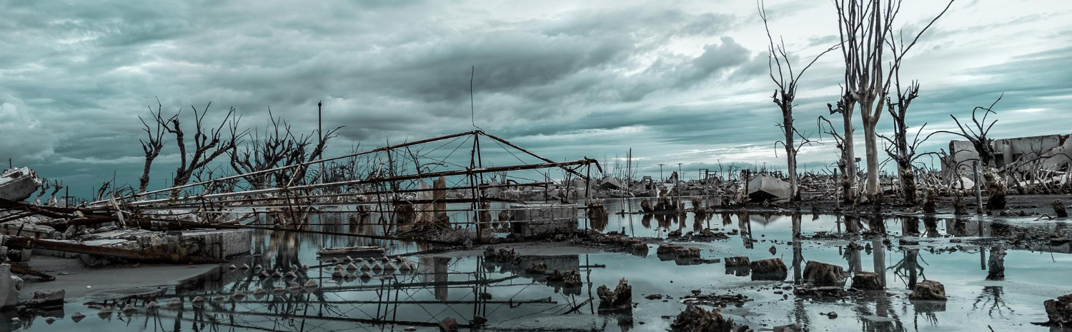 Environmental Destruction